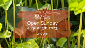 Open Sunday August 6th from 2pm - 6pm.