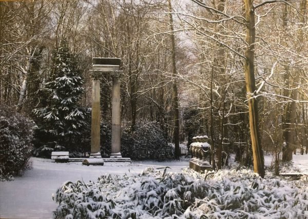 Columns in the Snow