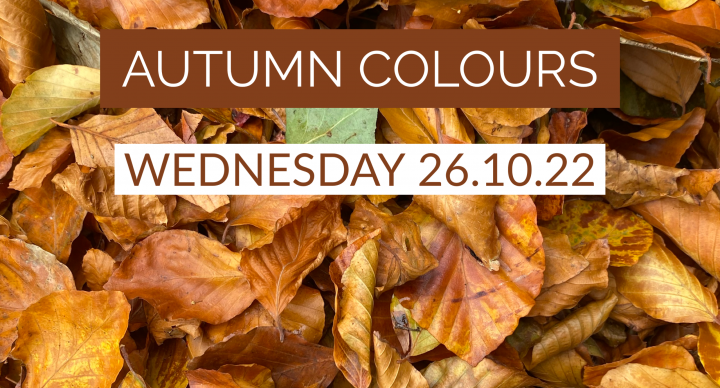 Autumn Colours – 26th October – The-gibberd-garden