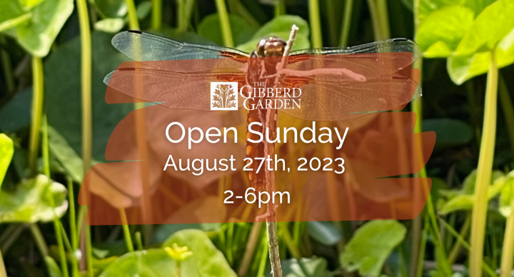 Open Sunday August 27th from 2pm - 6pm.