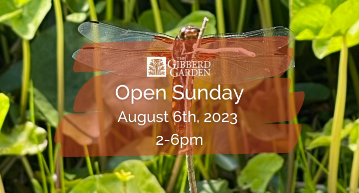 Open Sunday August 6th from 2pm - 6pm.