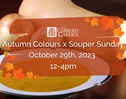 Autumn Colours x Soup-er Sunday