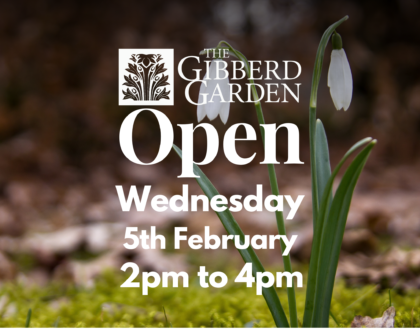 Snowdrops & Hellebores - 5th February